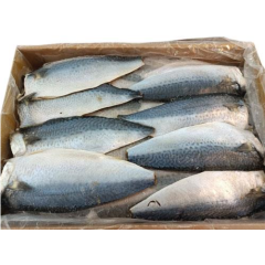 超值鯖魚片6KG/箱 超值鯖魚片6KG/箱